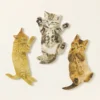 Scratch the Belly Nail Files – Set of 3, Cats - Set of 3