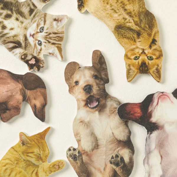 Scratch the Belly Nail Files – Set of 3, Cats - Set of 3